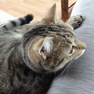 Meet your Posher, Kathryn